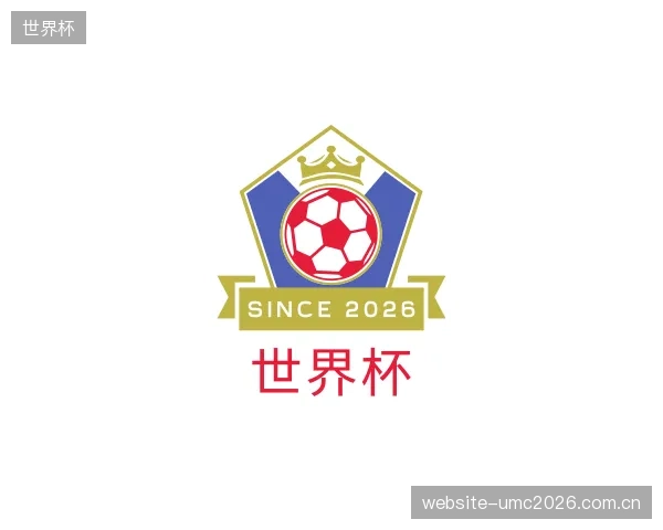 发现世界杯公司